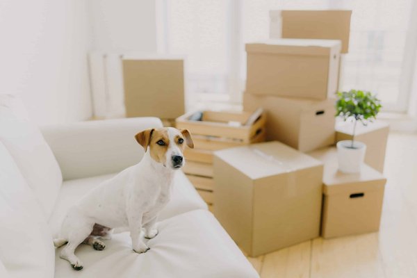 Quelles astuces pour bien dormir en camping sur un sol rocailleux?